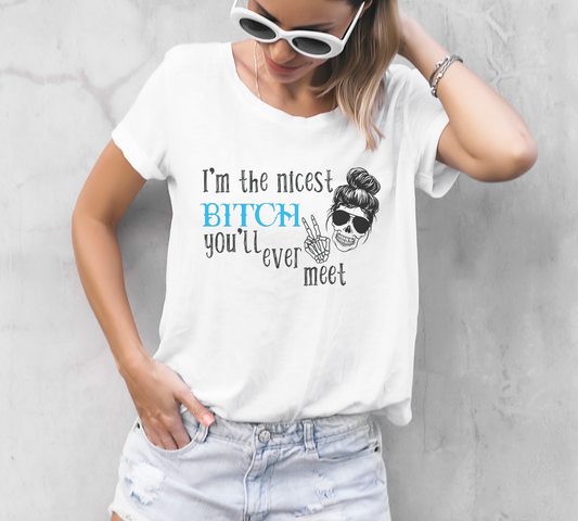 Nicest Bitch | Graphic Tee | Sarcastic T-shirt